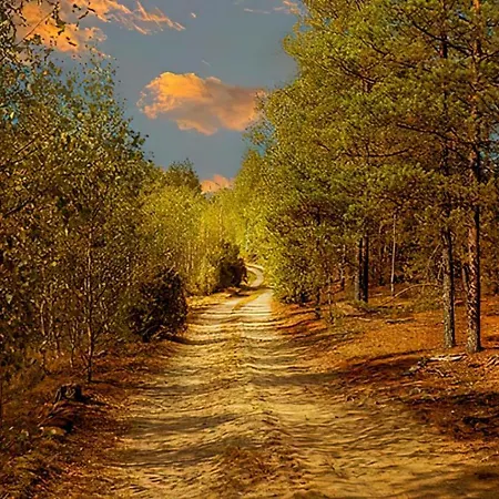 Sosnowa Zagroda Nyaraló *