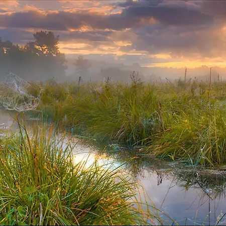 Nyaraló Sosnowa Zagroda
