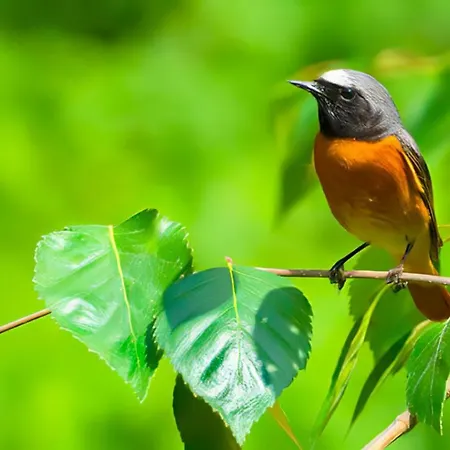 Vakantiehuis Sosnowa Zagroda