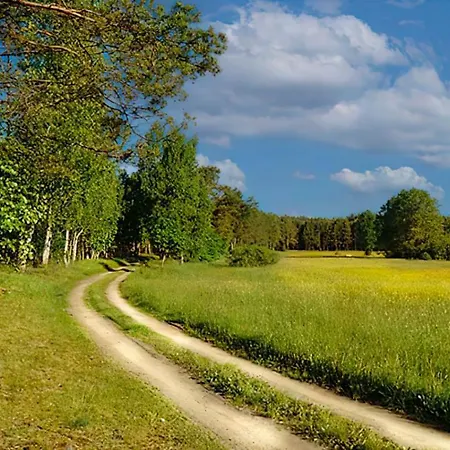 Sosnowa Zagroda Prázdninový dům Bak