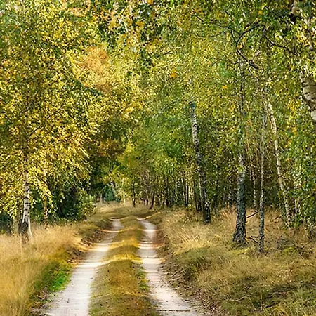 Sosnowa Zagroda Prázdninový dům *