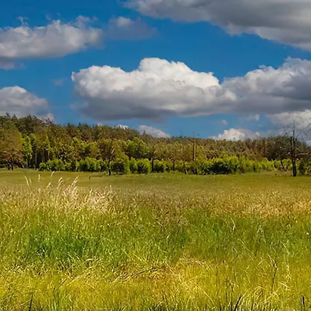 Sosnowa Zagroda Nyaraló *