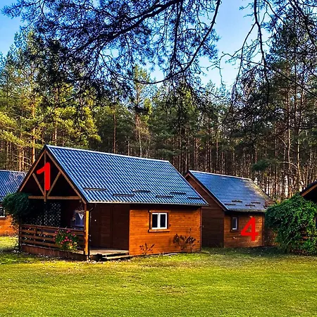 Sosnowa Zagroda * Bak