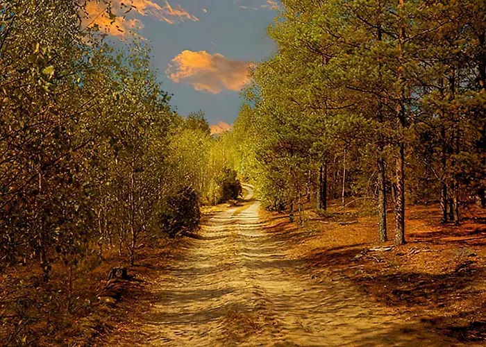 Sosnowa Zagroda Hébergement de vacances *