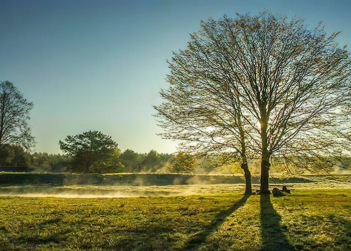 Сasa de vacaciones Sosnowa Zagroda Bak