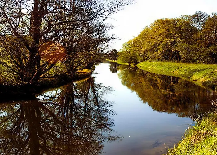 Hébergement de vacances Sosnowa Zagroda Bak