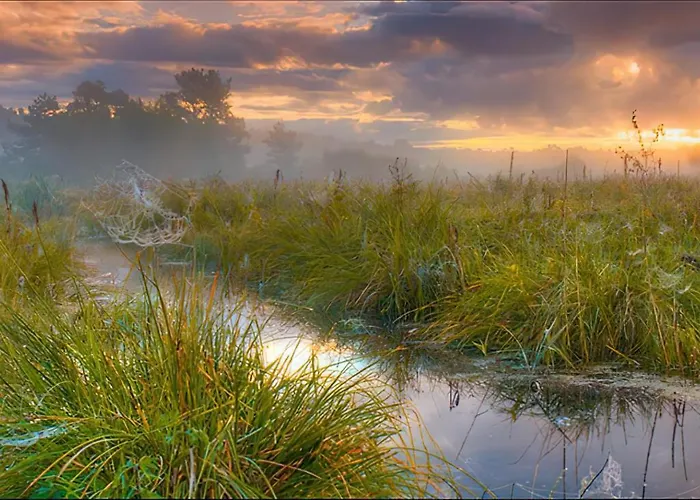 Hébergement de vacances Sosnowa Zagroda