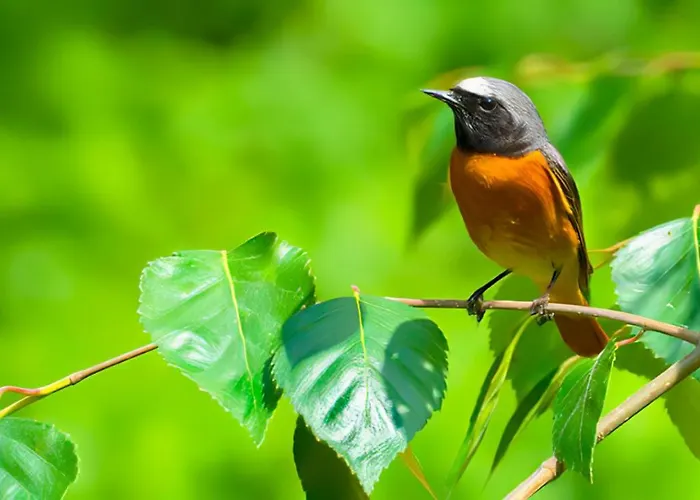 Hébergement de vacances Sosnowa Zagroda