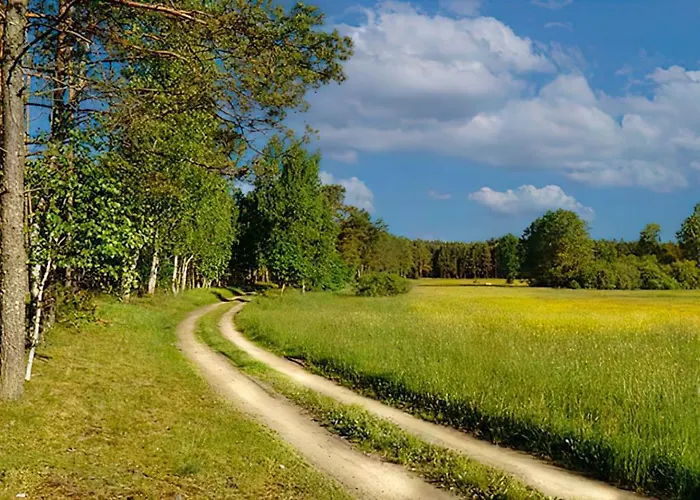 Sosnowa Zagroda Hébergement de vacances Bak