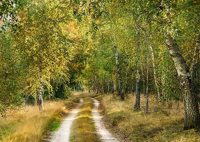 Sosnowa Zagroda Сasa de vacaciones *