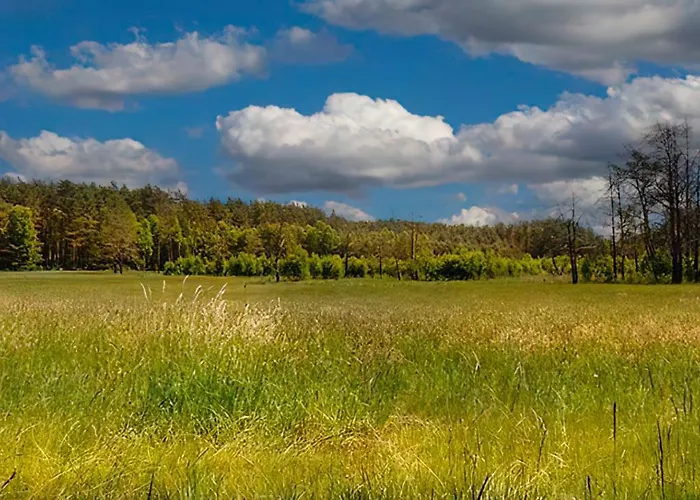 Sosnowa Zagroda Сasa de vacaciones *